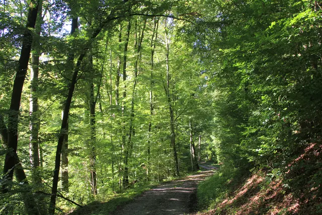 Rundwanderung- Grimmbachtal | Foto: Ralf Röser