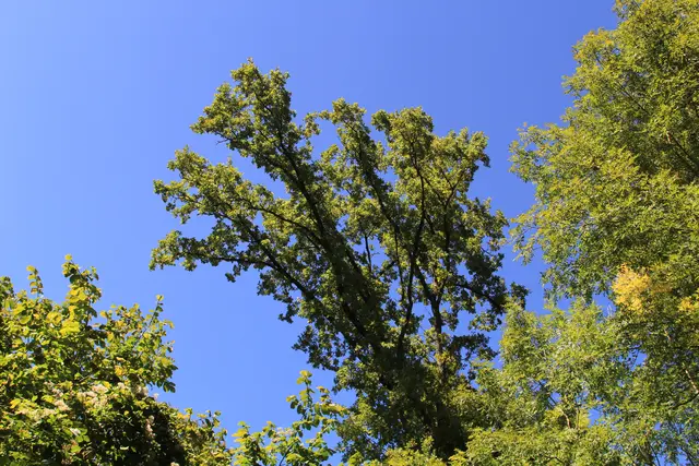 Rundwanderung- Grimmbachtal | Foto: Ralf Röser