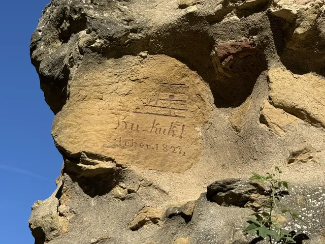 Foto: Heide Böllinger aus Bad Friedrichshall