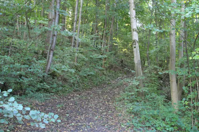 Rundwanderung- Grimmbachtal | Foto: Ralf Röser