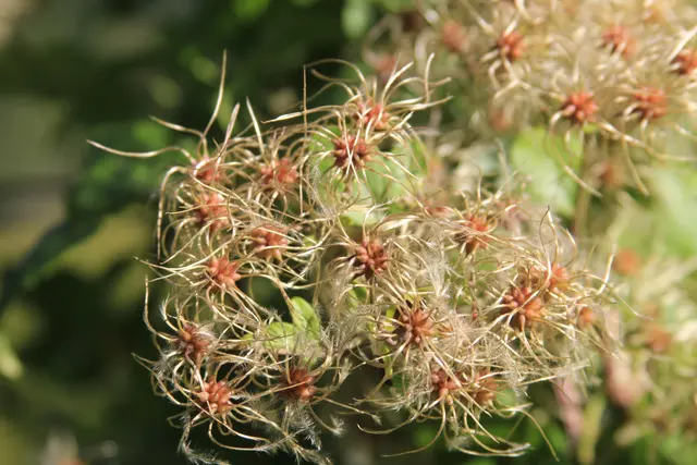 Rundwanderung- Grimmbachtal | Foto: Ralf Röser