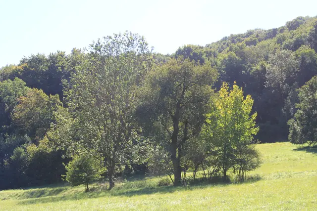 Rundwanderung- Grimmbachtal | Foto: Ralf Röser