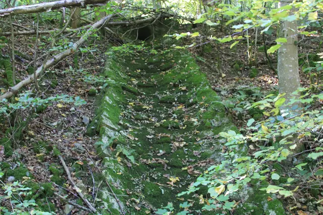 Rundwanderung- Grimmbachtal | Foto: Ralf Röser