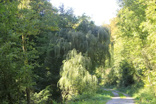 Rundwanderung- Grimmbachtal | Foto: Ralf Röser