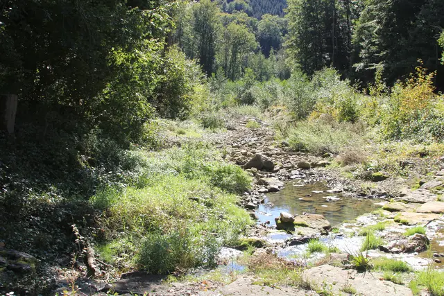 Rundwanderung- Grimmbachtal | Foto: Ralf Röser