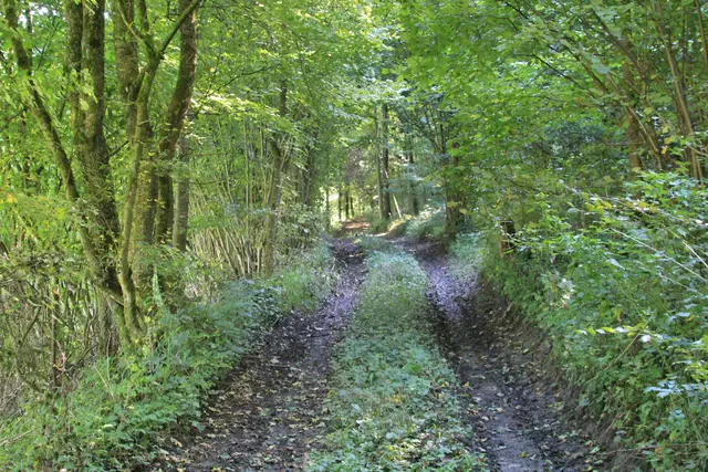 Rundwanderung- Grimmbachtal | Foto: Ralf Röser