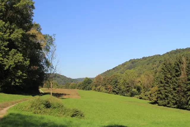 Rundwanderung- Grimmbachtal | Foto: Ralf Röser