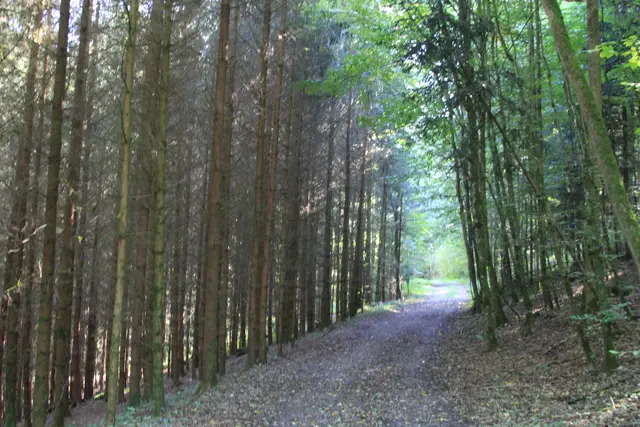 Rundwanderung- Grimmbachtal | Foto: Ralf Röser