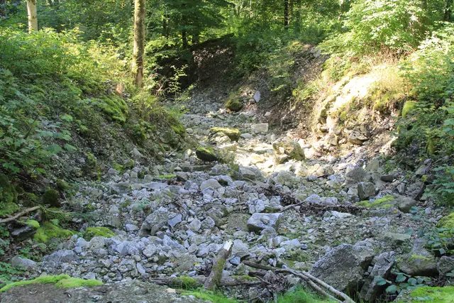 Rundwanderung- Grimmbachtal | Foto: Ralf Röser