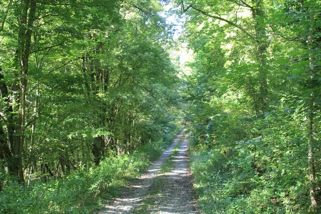 Rundwanderung- Grimmbachtal | Foto: Ralf Röser