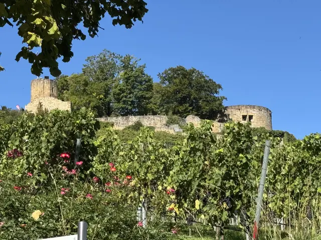 Foto: Heide Böllinger aus Bad Friedrichshall