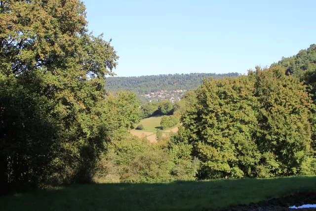 Rundwanderung- Grimmbachtal | Foto: Ralf Röser