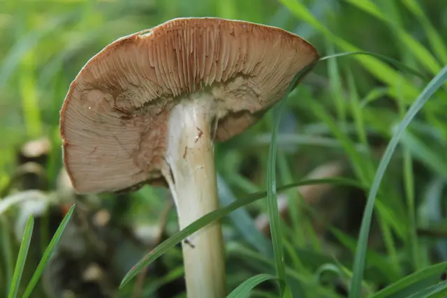 Rundwanderung- Grimmbachtal | Foto: Ralf Röser