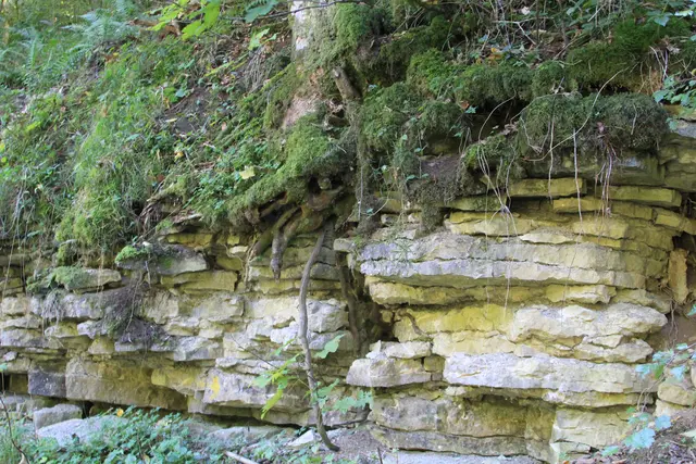 Rundwanderung- Grimmbachtal | Foto: Ralf Röser