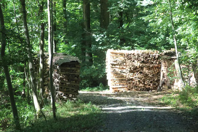 Rundwanderung- Grimmbachtal | Foto: Ralf Röser