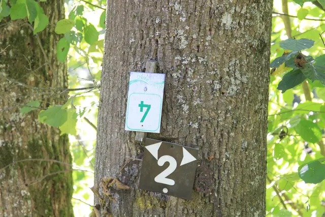 Rundwanderung- Grimmbachtal | Foto: Ralf Röser