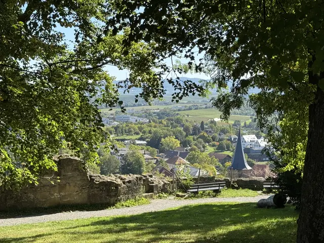Foto: Heide Böllinger aus Bad Friedrichshall