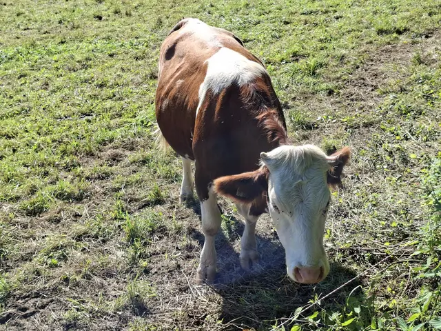 von Geislingen nach Enslingen im schönen Kochertal | Foto: Ralf Röser