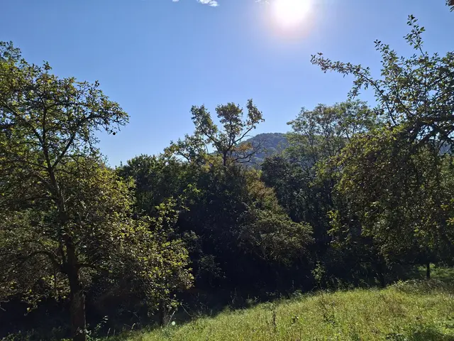 von Geislingen nach Enslingen im schönen Kochertal | Foto: Ralf Röser