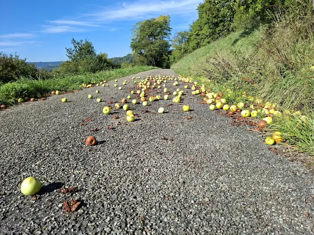 von Geislingen nach Enslingen im schönen Kochertal | Foto: Ralf Röser