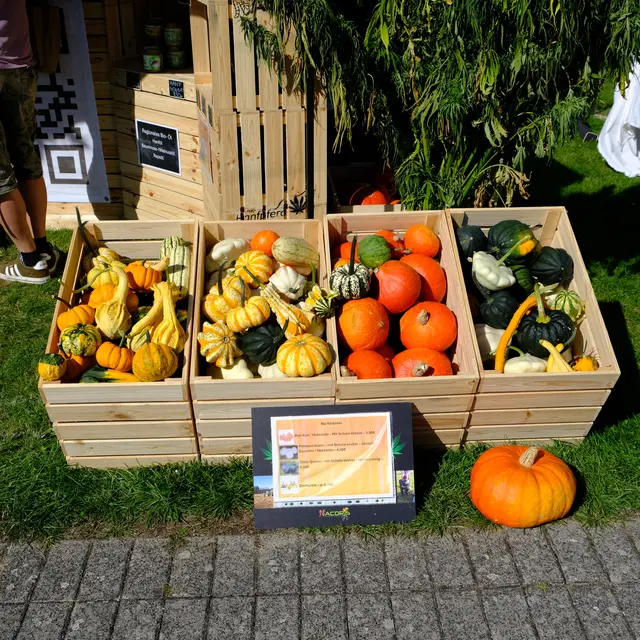 Foto: Eduard Warenik