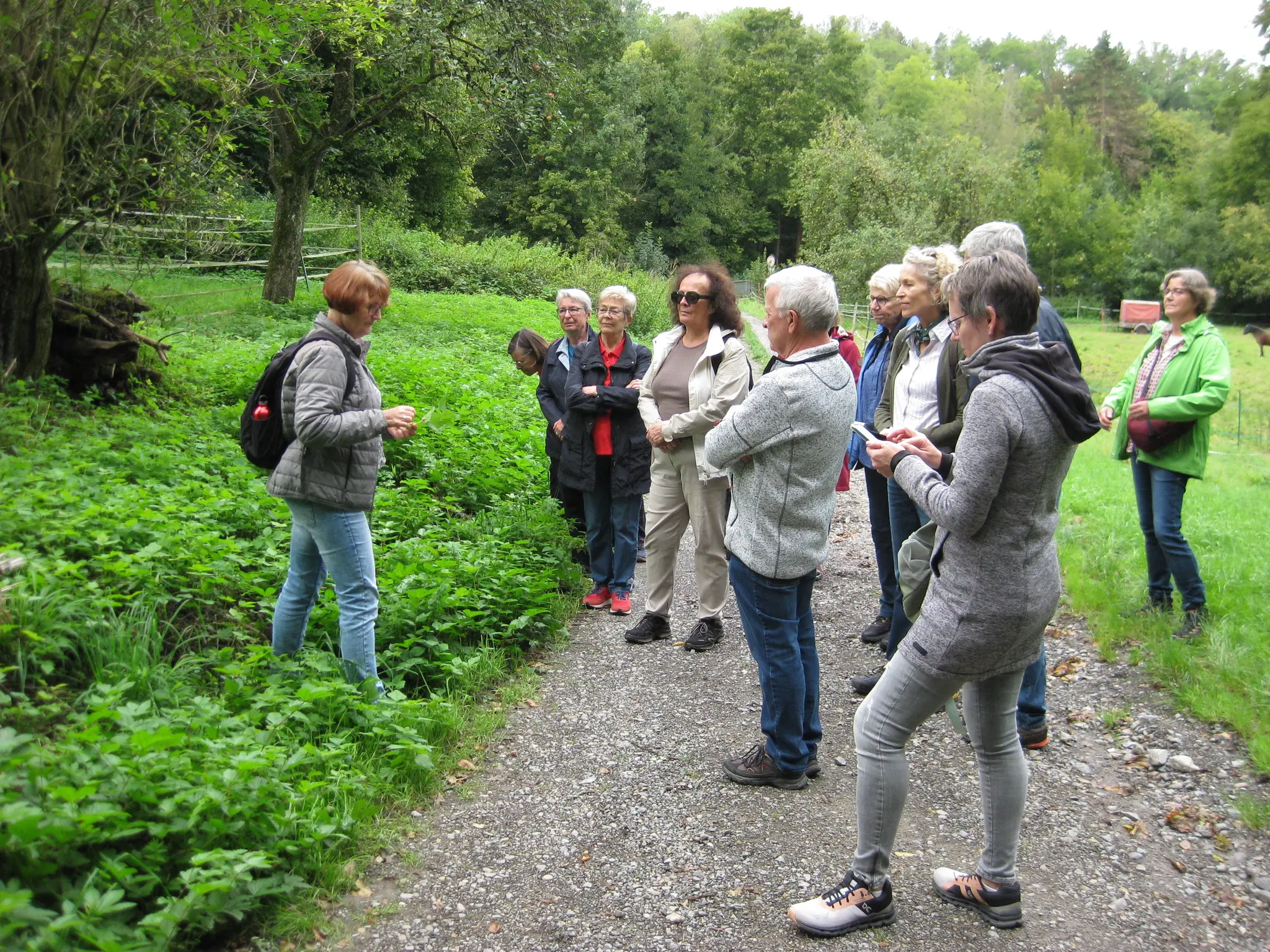 Talheim Kräuterspaziergang mit der BürgerStiftung Talheim: Sonntag 14.9.2025 ...