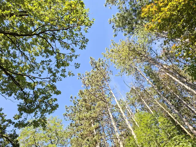 von Geislingen nach Enslingen im schönen Kochertal | Foto: Ralf Röser