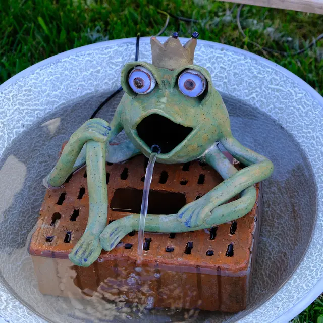 Foto: Eduard Warenik