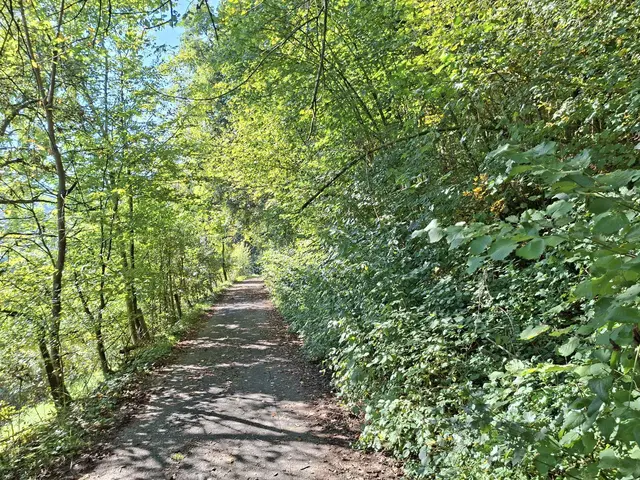 von Geislingen nach Enslingen im schönen Kochertal | Foto: Ralf Röser