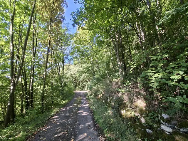 von Geislingen nach Enslingen im schönen Kochertal | Foto: Ralf Röser