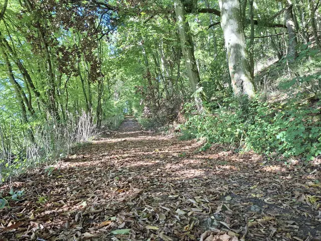 von Geislingen nach Enslingen im schönen Kochertal | Foto: Ralf Röser