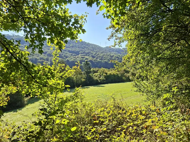 von Geislingen nach Enslingen im schönen Kochertal | Foto: Ralf Röser