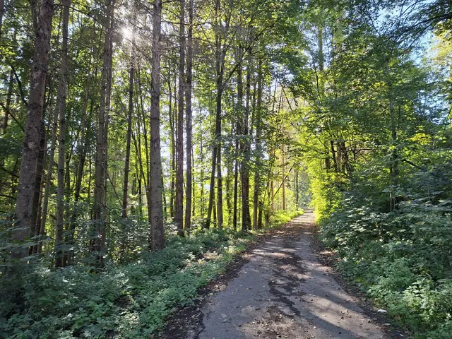 von Geislingen nach Enslingen im schönen Kochertal | Foto: Ralf Röser