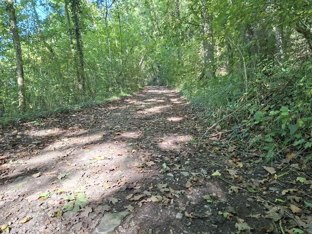 von Geislingen nach Enslingen im schönen Kochertal | Foto: Ralf Röser