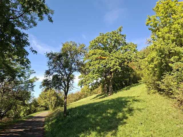 von Geislingen nach Enslingen im schönen Kochertal | Foto: Ralf Röser