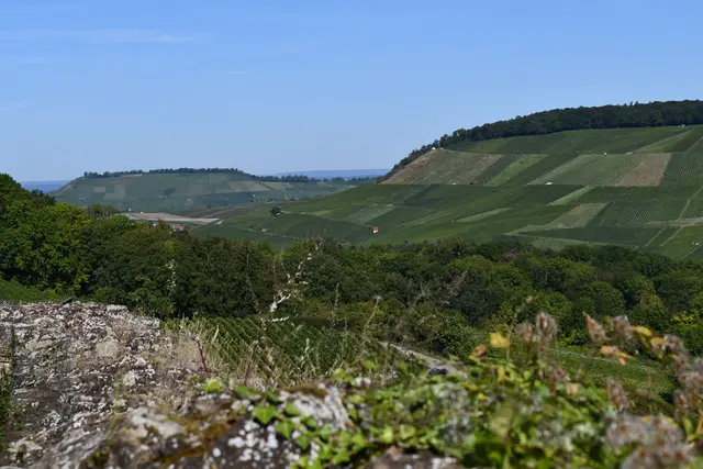 Blick Richtung Heilbronn | Foto: JuKo