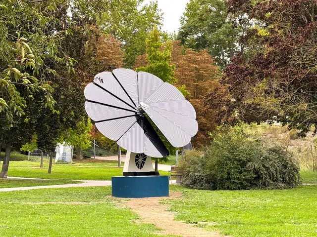 Foto: Heide Böllinger aus Bad Friedrichshall