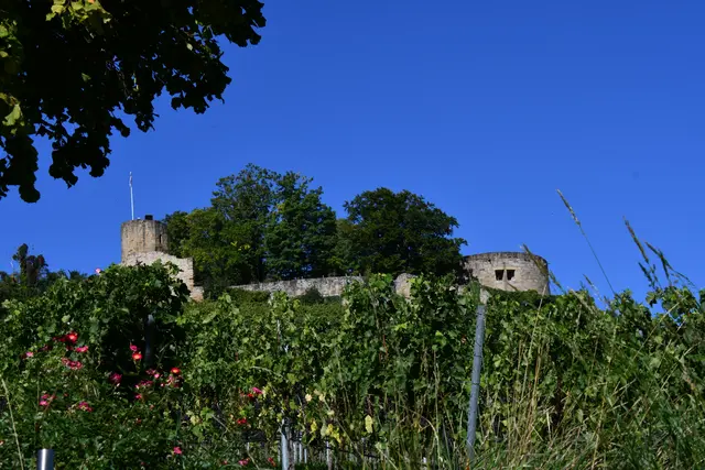 Aufstieg zur Burg | Foto: JuKo