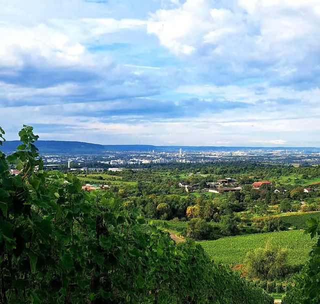 Blick zum " Schwabenlandtower" nach Fellbach mit dem Fernsehturm im Hintergrund. | Foto: Isolde Reitz
