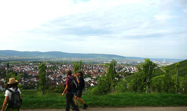 Blick in die Weinlandschaft rund um Korb.  | Foto: Isolde Reitz