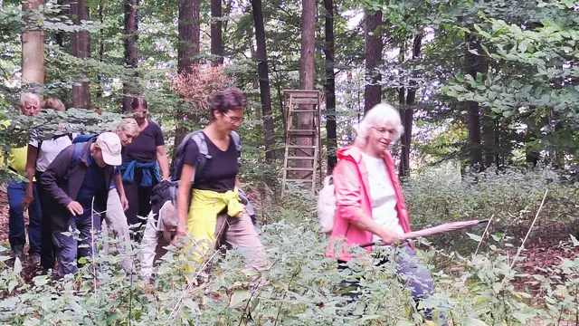 Auf schmalen Waldwegen unterwegs | Foto: Albverein Weinsberg