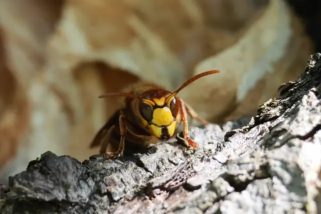 Sehr freundlich | Foto: UD