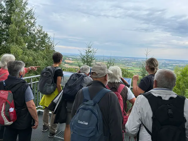 Blick ins Hohenlohe bis zum Katzenbuckel im Odenwald | Foto: Albverein Weinsberg