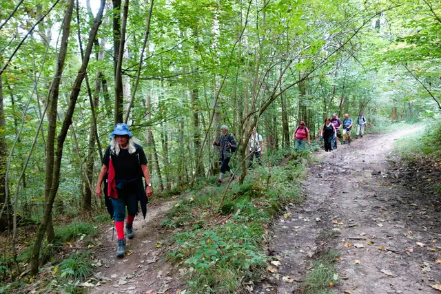 Aufstieg zum Hannweiler Sattel. | Foto: Isolde Reitz