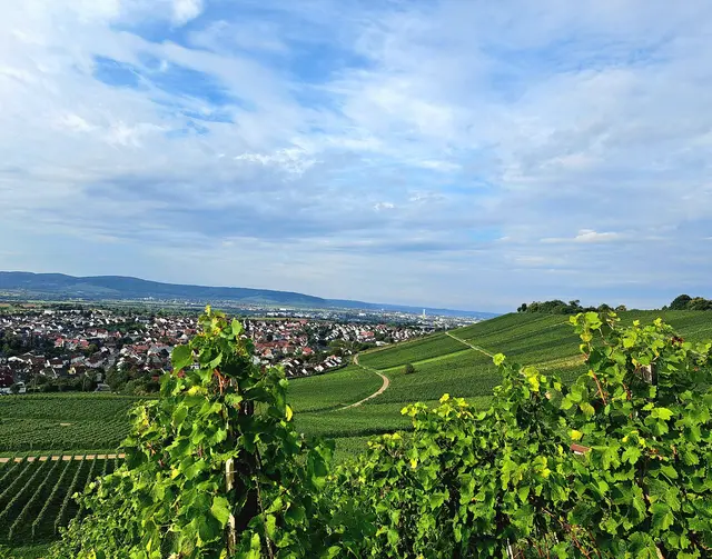 Traumhafter Ausblick ins Remstal und zum Korber Kopf. | Foto: Isolde Reitz