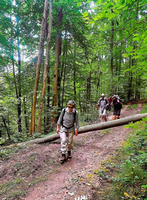 Entlang des Zipfelbaches geht es Richtung Hannweiler. | Foto: Isolde Reitz