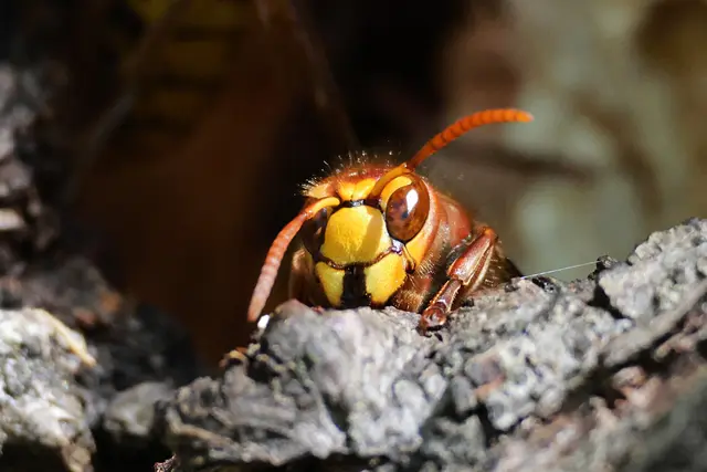 Bitte noch einen kleinen Moment ... | Foto: UD