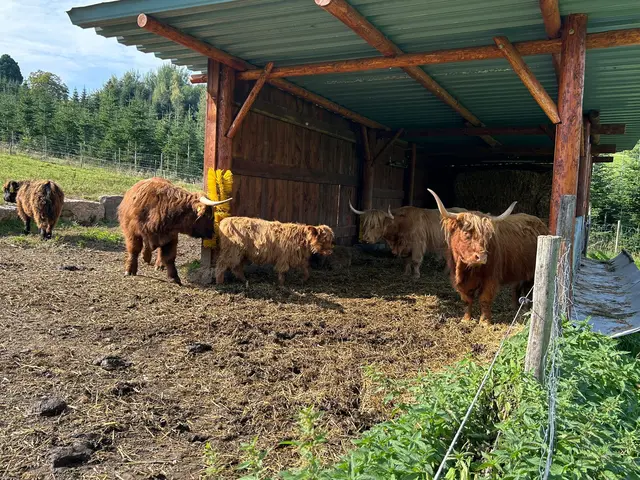 Die geniessen auch noch die Spätsommer Sonne | Foto: Albverein Weinsberg