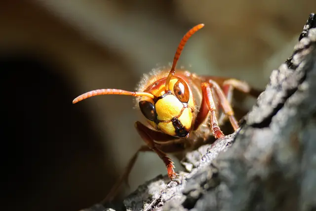 Ein magischer Blick ;-) | Foto: UD