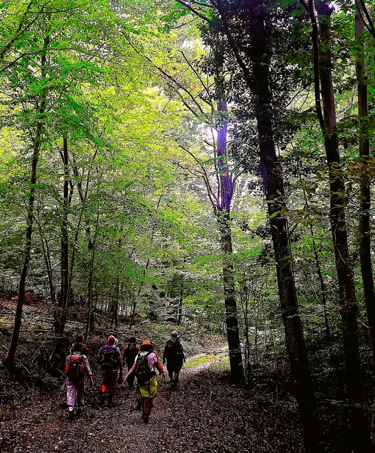 Es geht abwärts ins Zipfelbachtal. | Foto: Isolde Reitz
